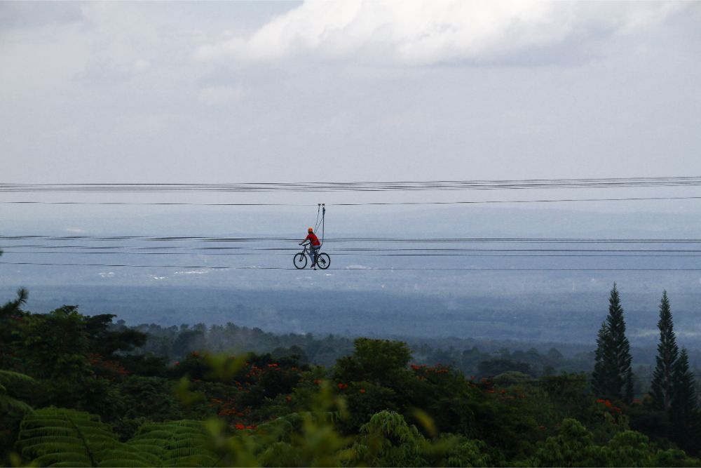 Skycycling at Eden Nature Park will set your adrenaline pumping